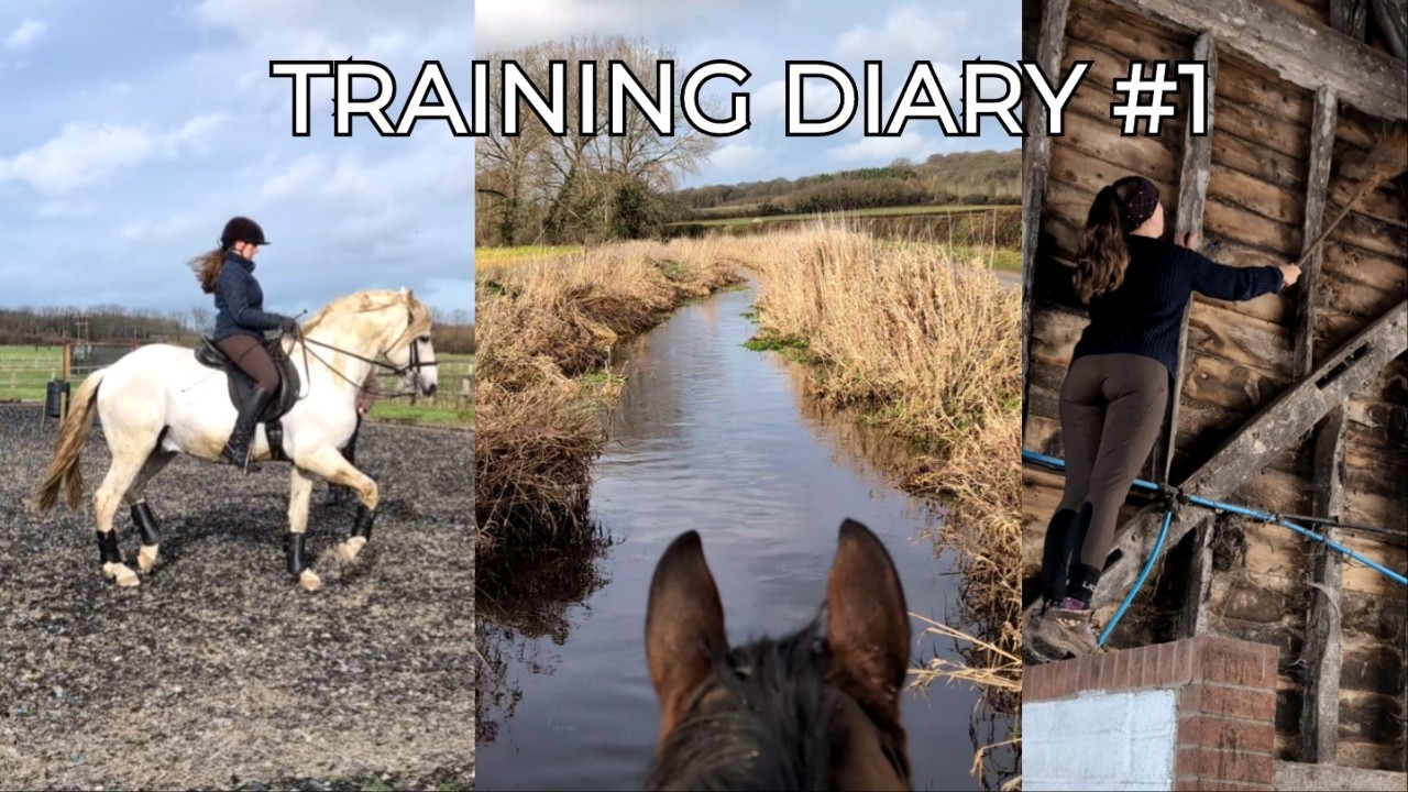 Teaching Passage, Hydrotherapy & Yard Life | Training Diary #1