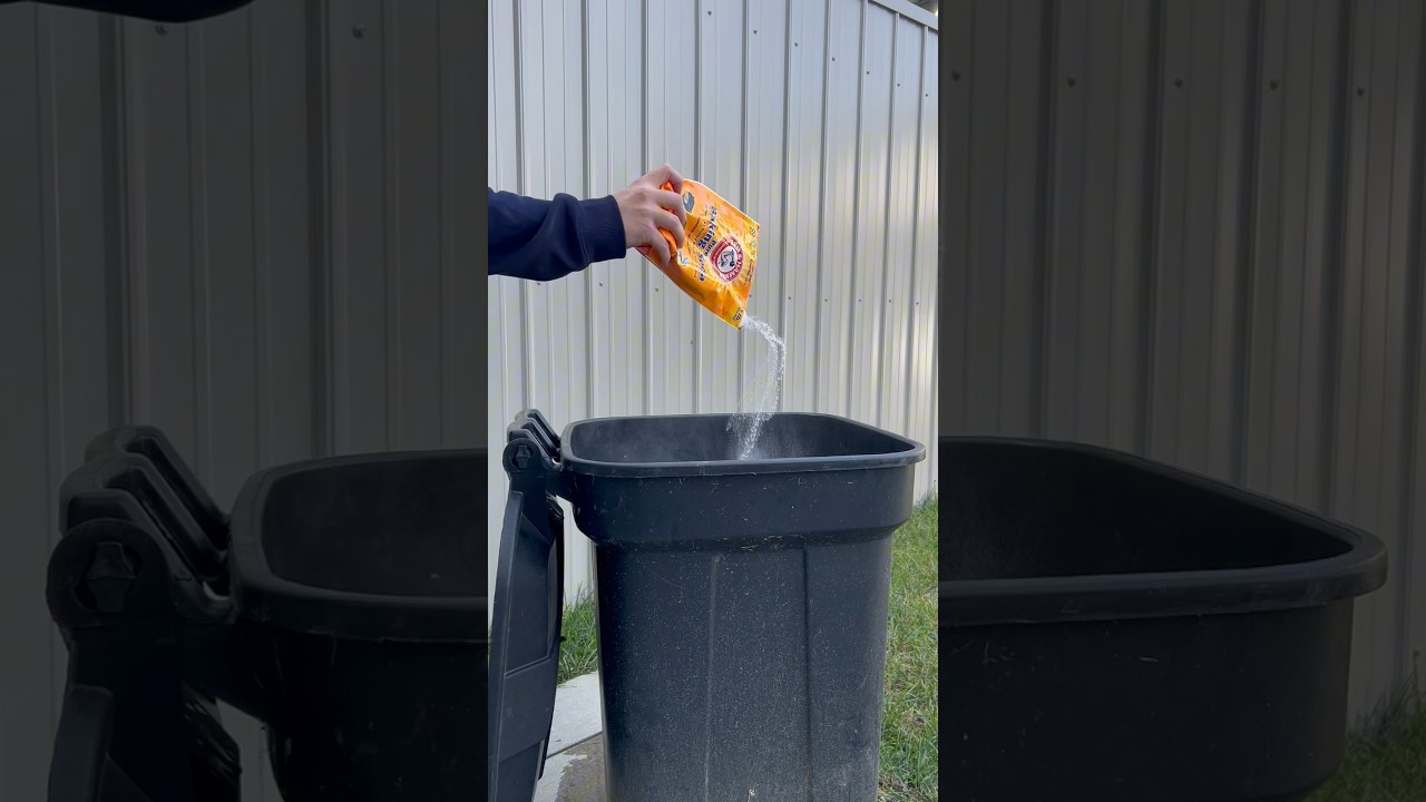 Cleaning hack to keeping your trash can odor and maggot free throughout all seasons! #shorts #clean