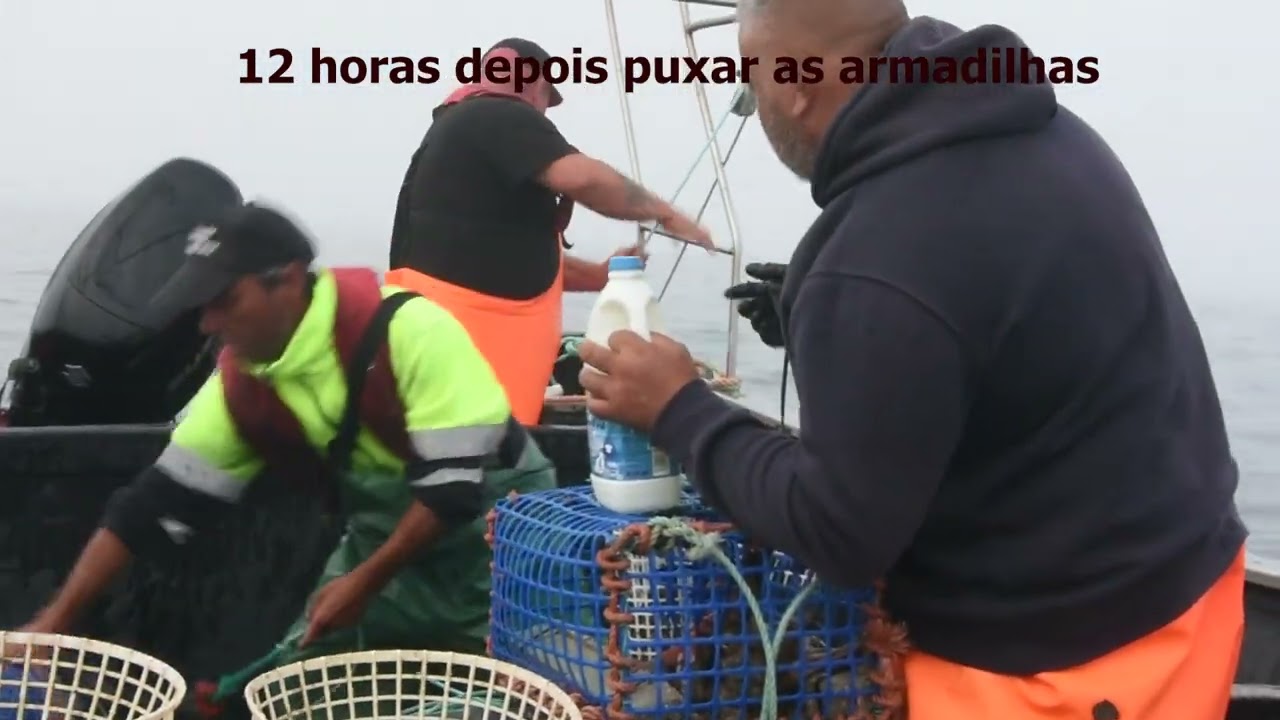 Sandro  mais O Gigio e o Paulo nas caça ao Polvo