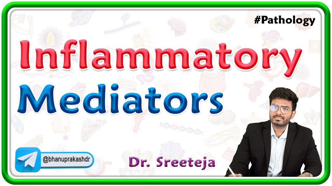3: Inflammatory Mediators | Pathology USMLE Step 1