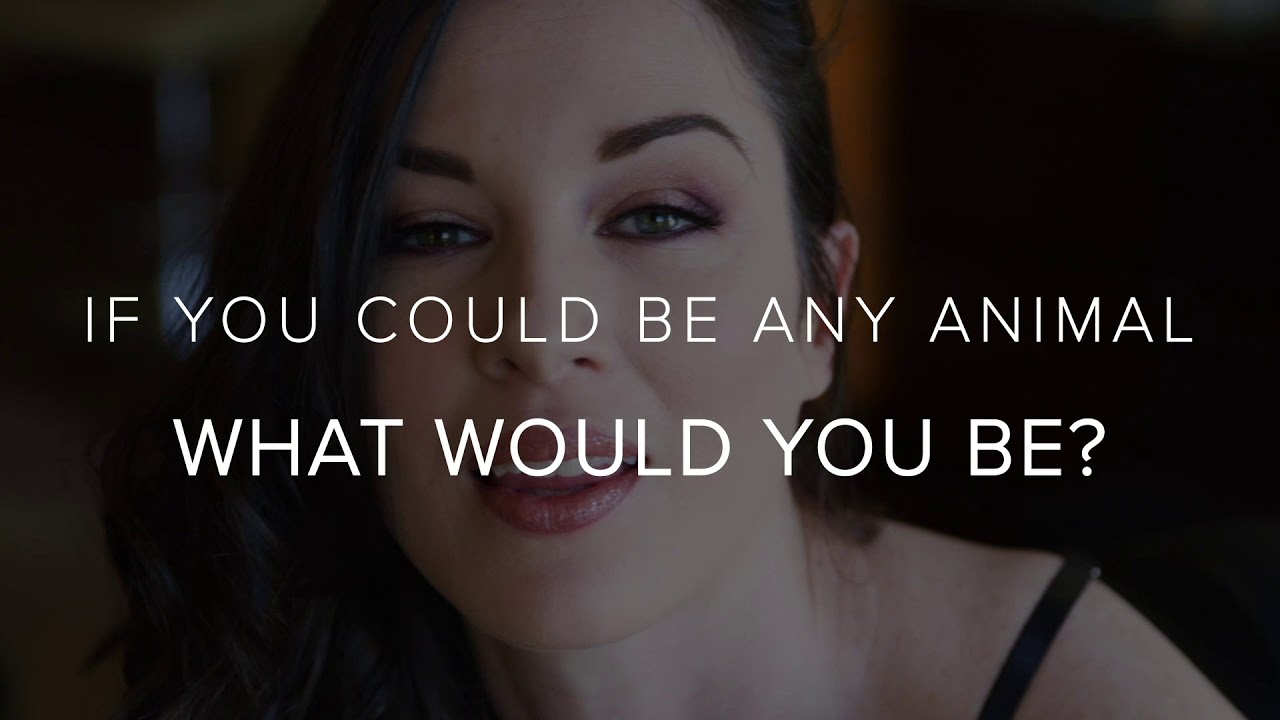 Fleshlight Interviews Porn Star Stoya