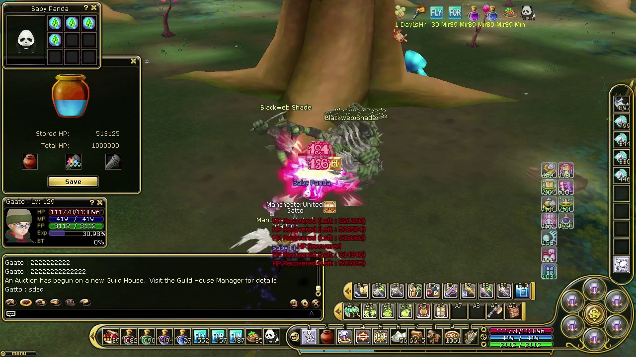 Merkaba Hanzelrusha 17k Damage (Playpark Flyff)