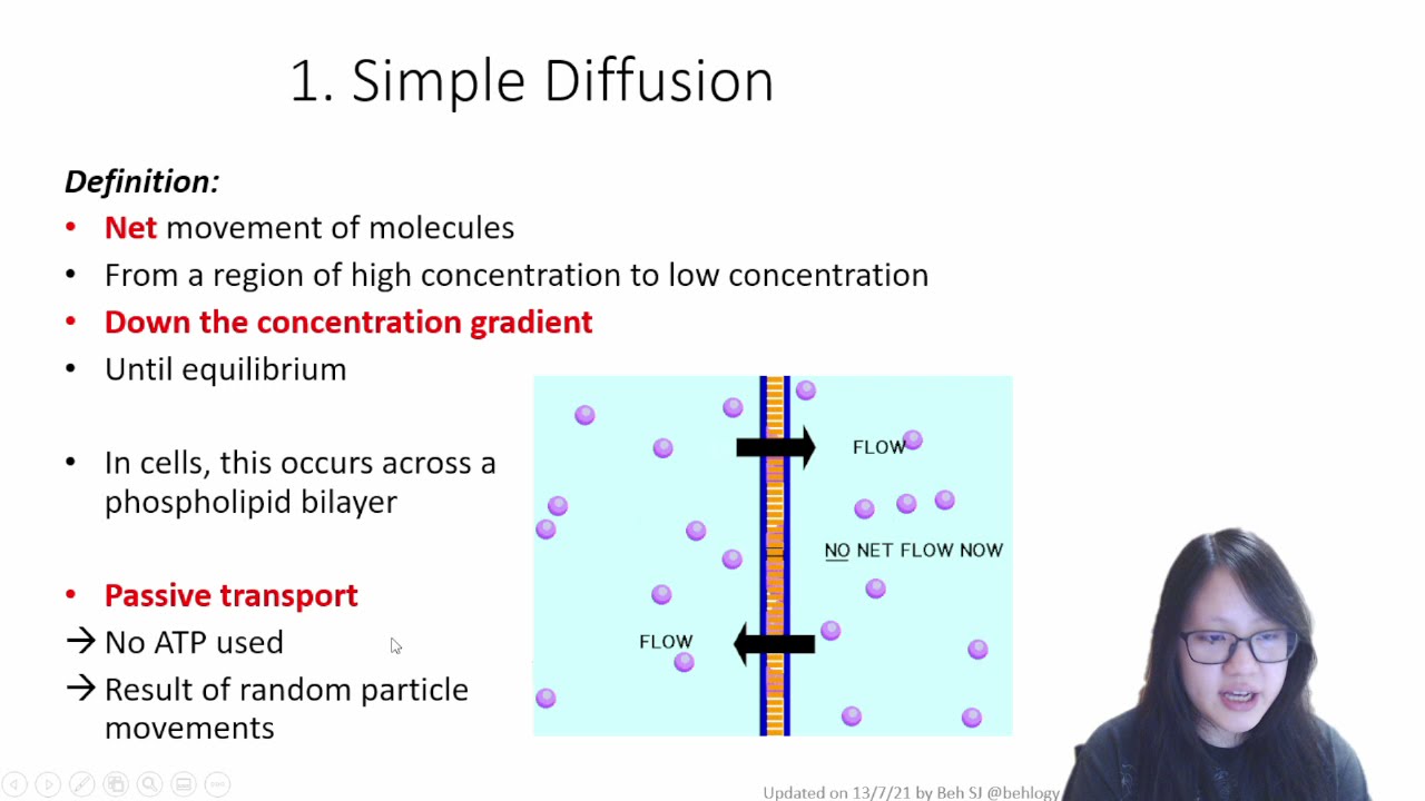 Chapter 4.3 - Transport Across Membrane | Cambridge A-Level 9700 Biology