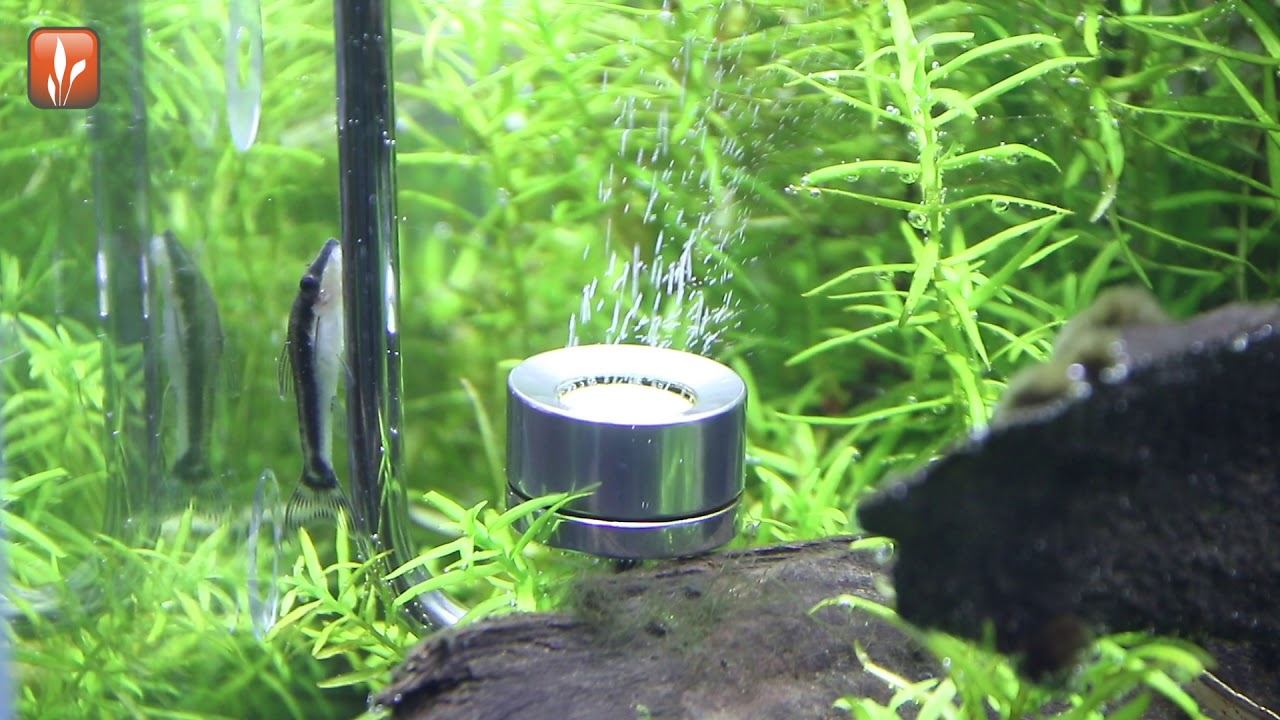 CO2 diffusor edelstaal