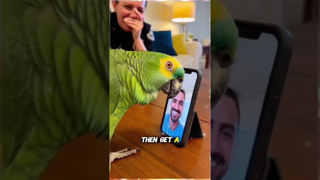 Parrot tells Husband to get DNA test 🦜😅🥰😂 