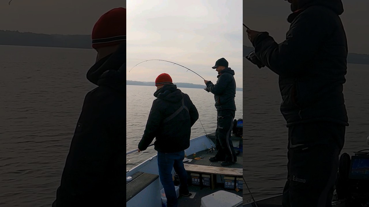 MASSIVE Maine LAKE TROUT caught on cheap ugly stick rod! PB #shorts