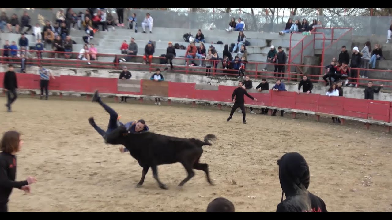 SAINT-JEAN-DE-VÉDAS ▶TOROS PAILLE◀ 10.12.2023 (spécial enfant)😂🤣