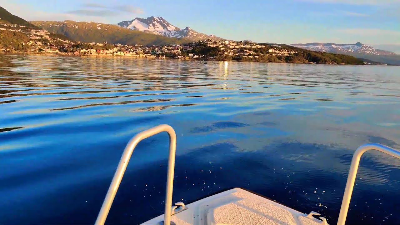Narvik, Ofotfjorden