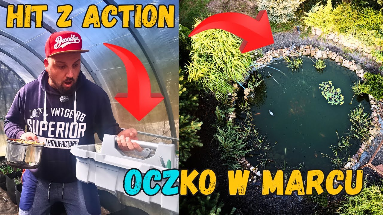 Co Nowego w Action? Mega Okazjaa! + Moje Oczko Wodne 2025 🏡🌿🐟