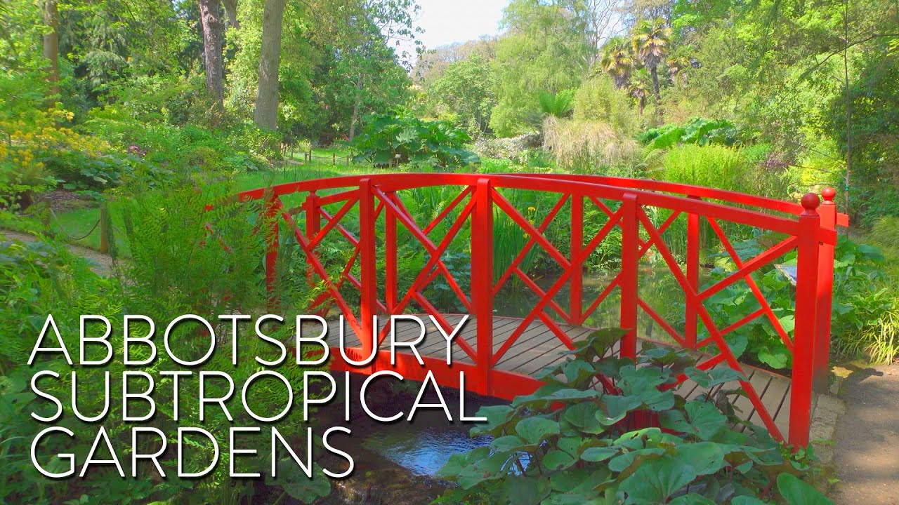 Amazing English Garden with MICRO-CLIMATE (Abbotsbury Subtropical Gardens Tour)