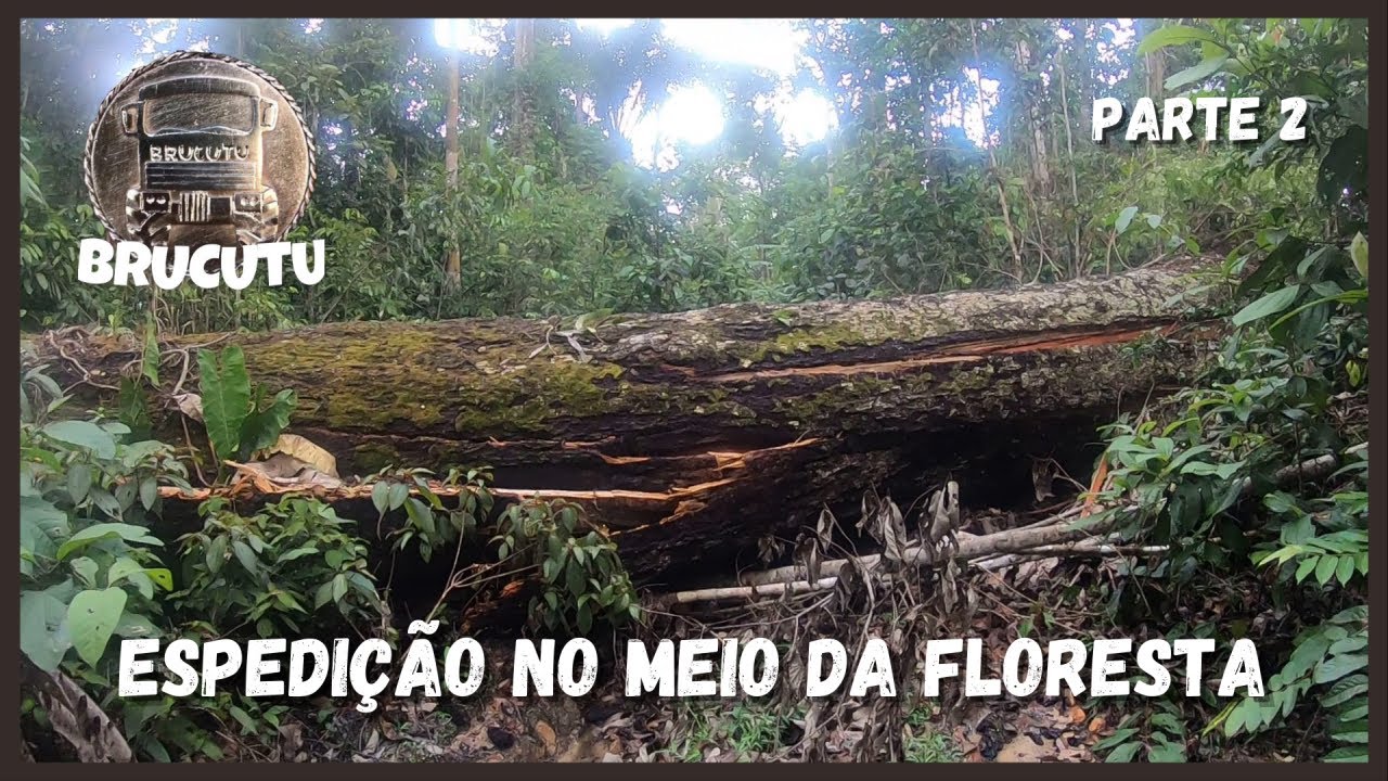 Aventura no meio da Floresta Amazônica Parte 2
