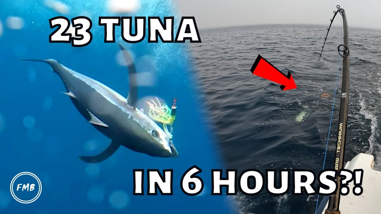 Unbelievable Trip Tuna Fishing Offshore Vancouver Island