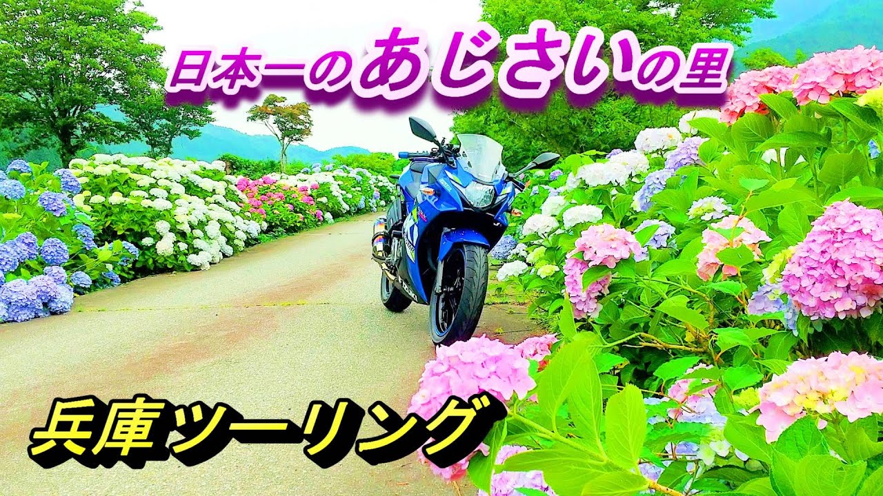 【兵庫ツーリング】日本一のあじさいの里を目指しているのも納得！美しい里でした【GSX250R】