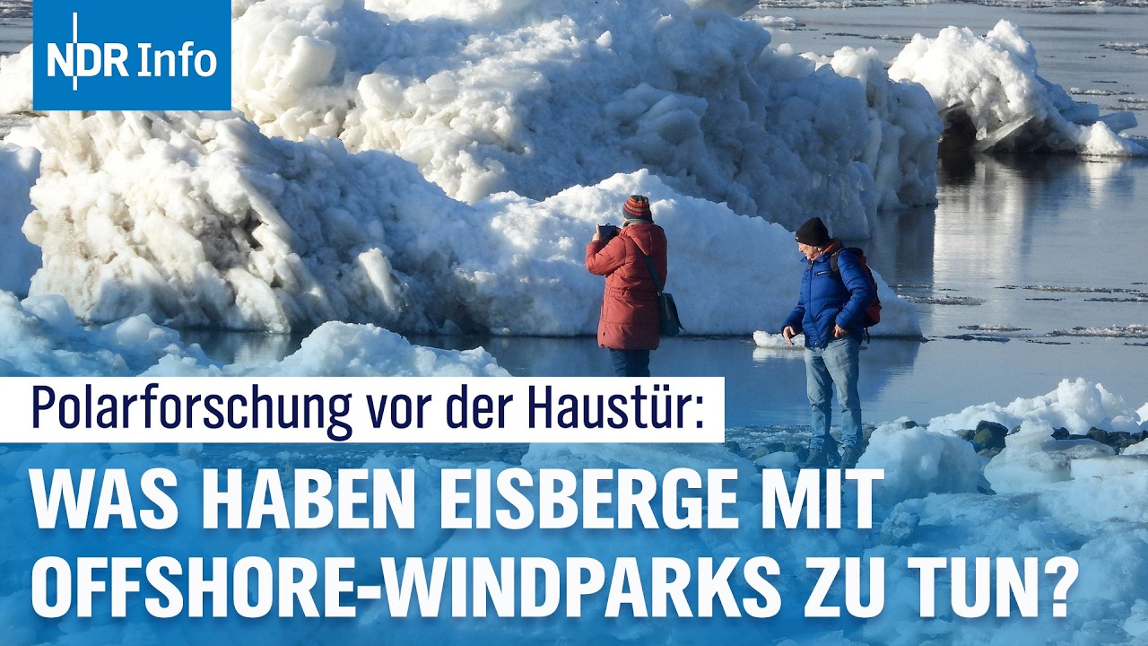 Geesthacht: Forscher erkunden Eisberge an der Elbe | NDR Info