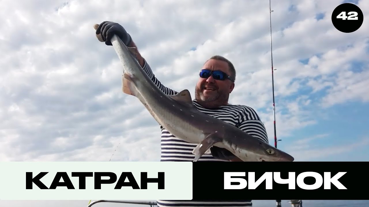 Катран та Бичок з Човна | Трофей на Морі №42