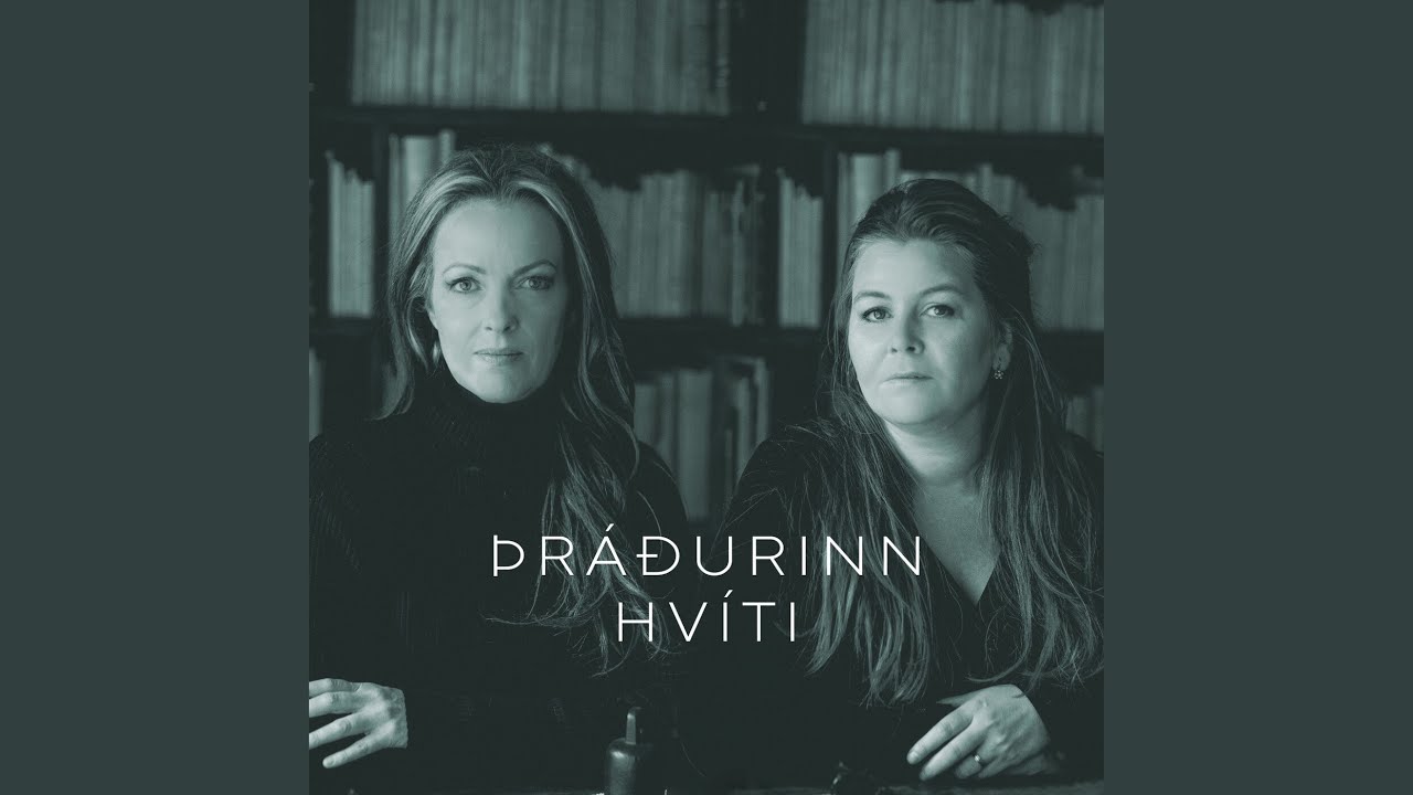 A&eth;eins daginn &iacute; dag