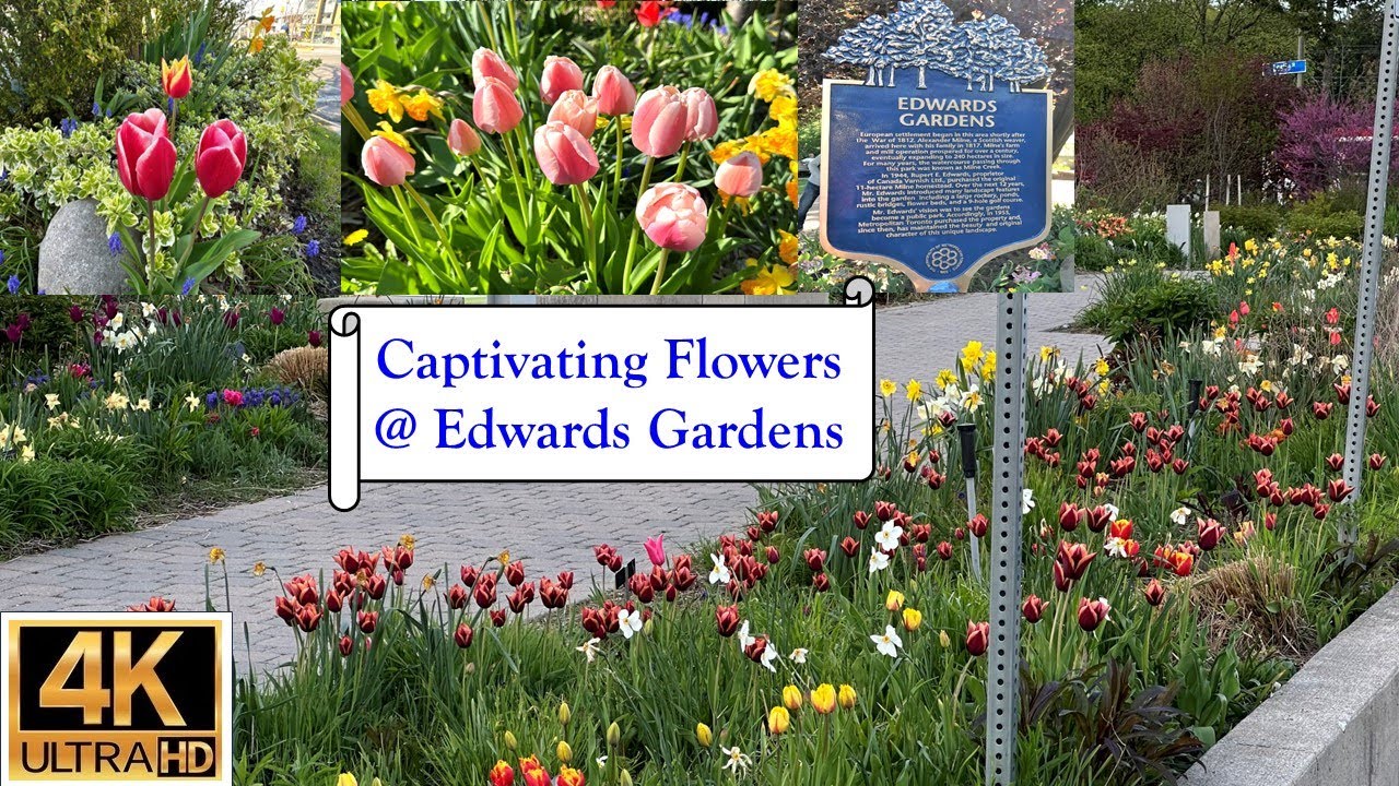 Captivating Flowers at Edwards Gardens in Toronto - 4K