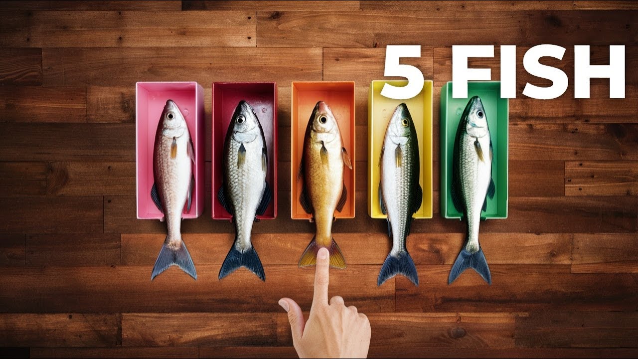 The 5 Healthiest Fish You NEED to Eat Science Backed!