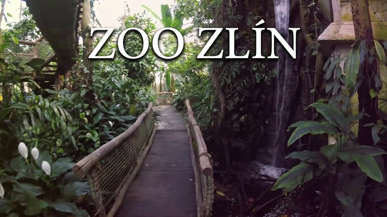 ZOO Lešná Zlín Czech 2017 4k
