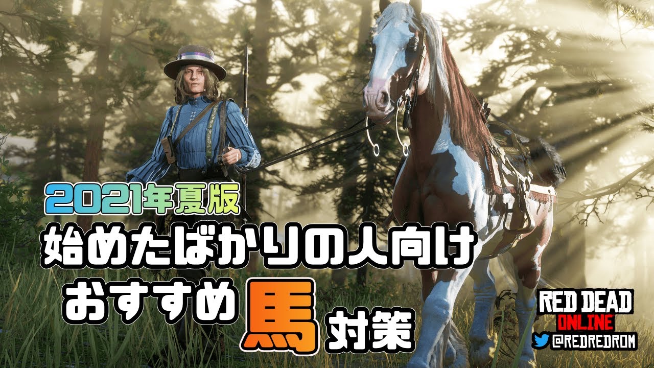 【RDO】始めたばかりの人向けおすすめ馬対策：2021年夏版。序盤の馬の改善方法と初めて買う馬のおすすめを紹介してます。また始めたばかりの人でなくても役立つ情報を含めてます♪