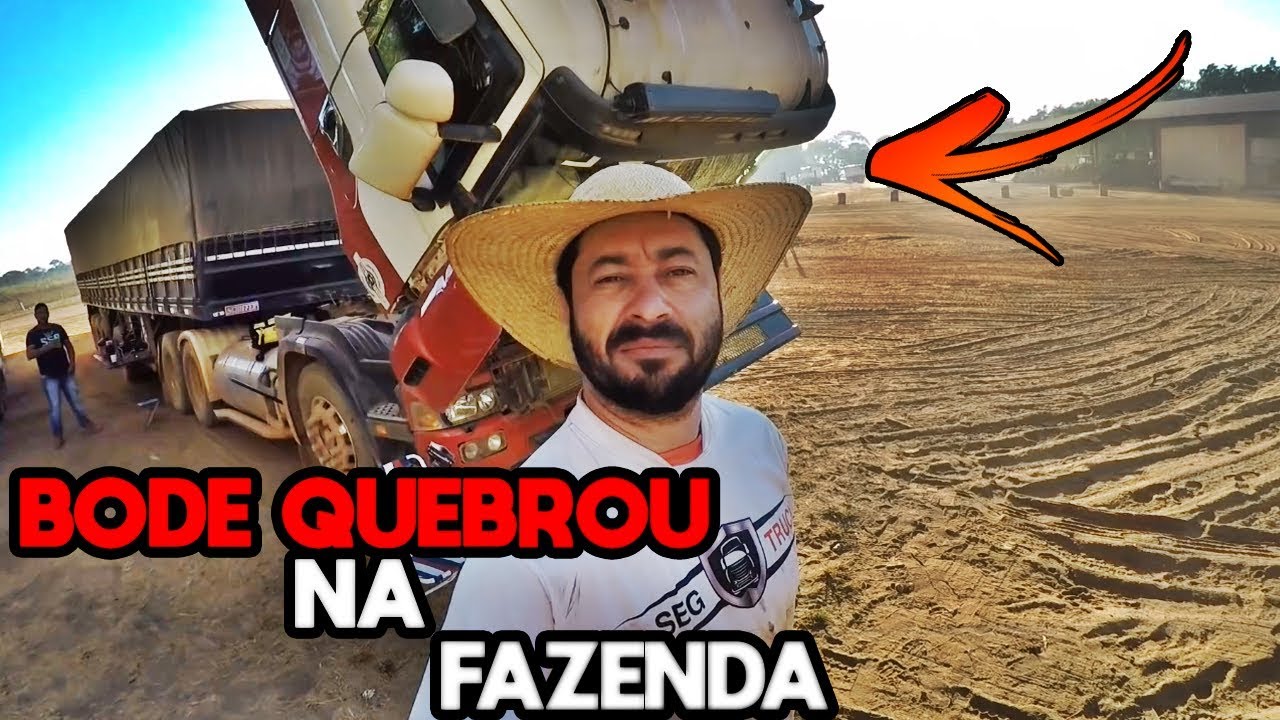 BODE QUEBROU NA FAZENDA VAZOU OLEO PRA TODO LADO