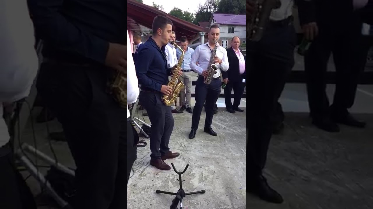 Nelu Popa & Dany Vesa. Sau o mică demonstrație de FORTZA!!!