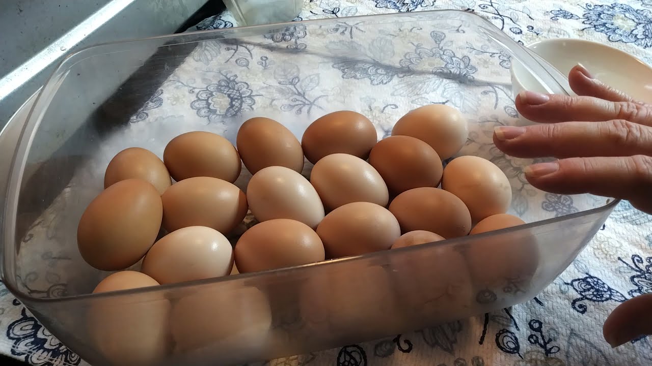 COMO DESHIDRATAR HUEVOS