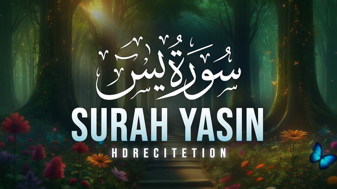 Surah Yaseen سورة يس | Soothing & Beautiful Recitation for Inner Peace Quran for Sleep ep5