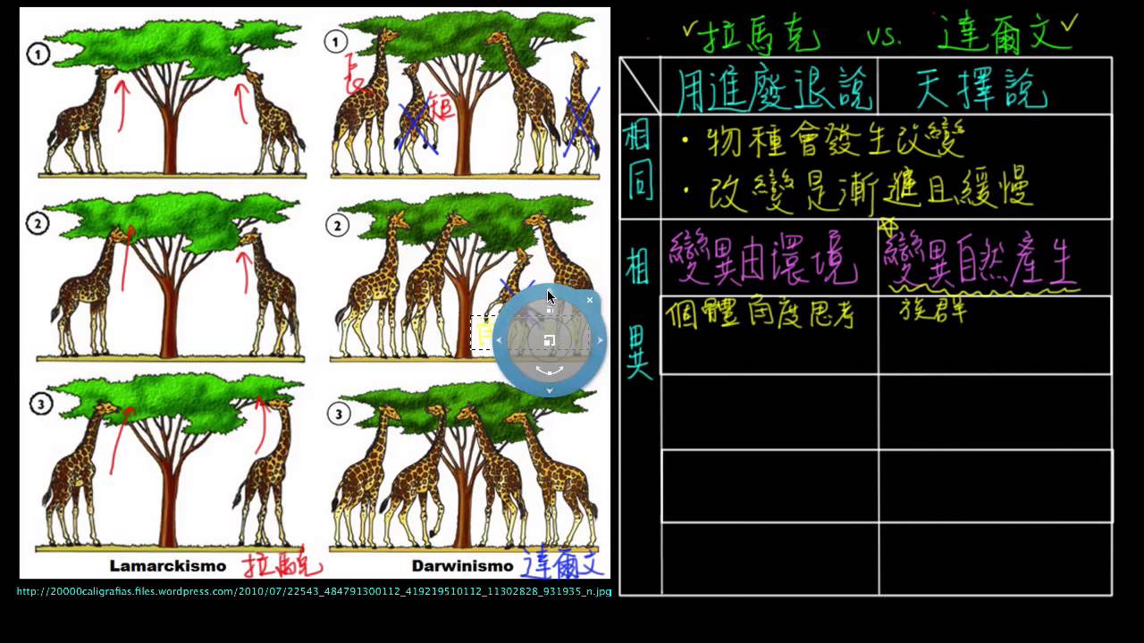 高一生物3-1觀念06用進廢退說vs.天擇說