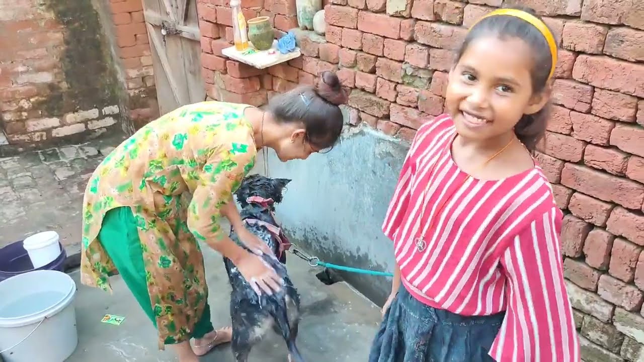 गर्मी के कारण हुई कालू की हालत खराब नहलाने के बाद मिला आराम | Rakhi cooking | Rakhi official cooking