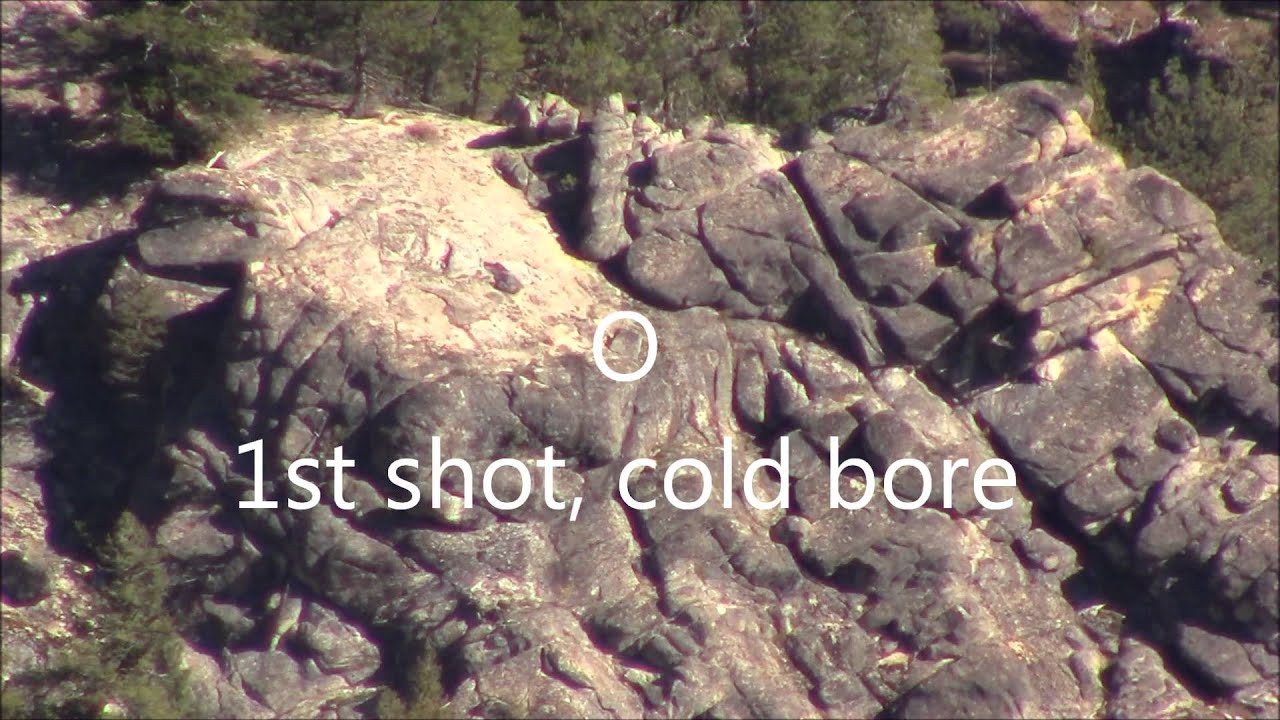 Shooting 1310 yards with 6.5-284