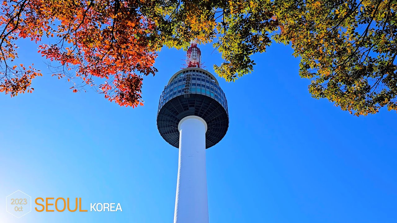 Maple leaves at Seoul Tower •[4k] Seoul, Korea