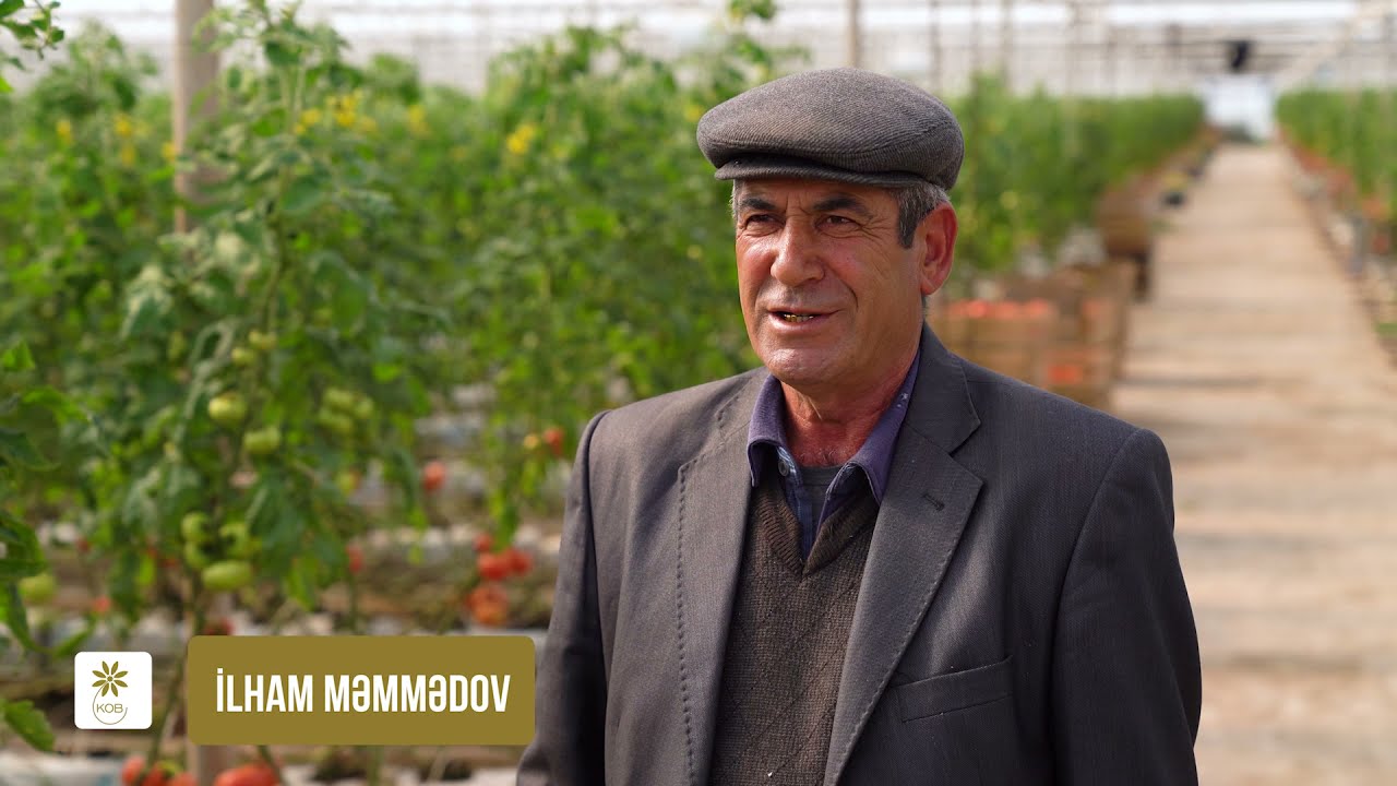 Salyanda yerləşən istehsalat kooperativinə dəstək