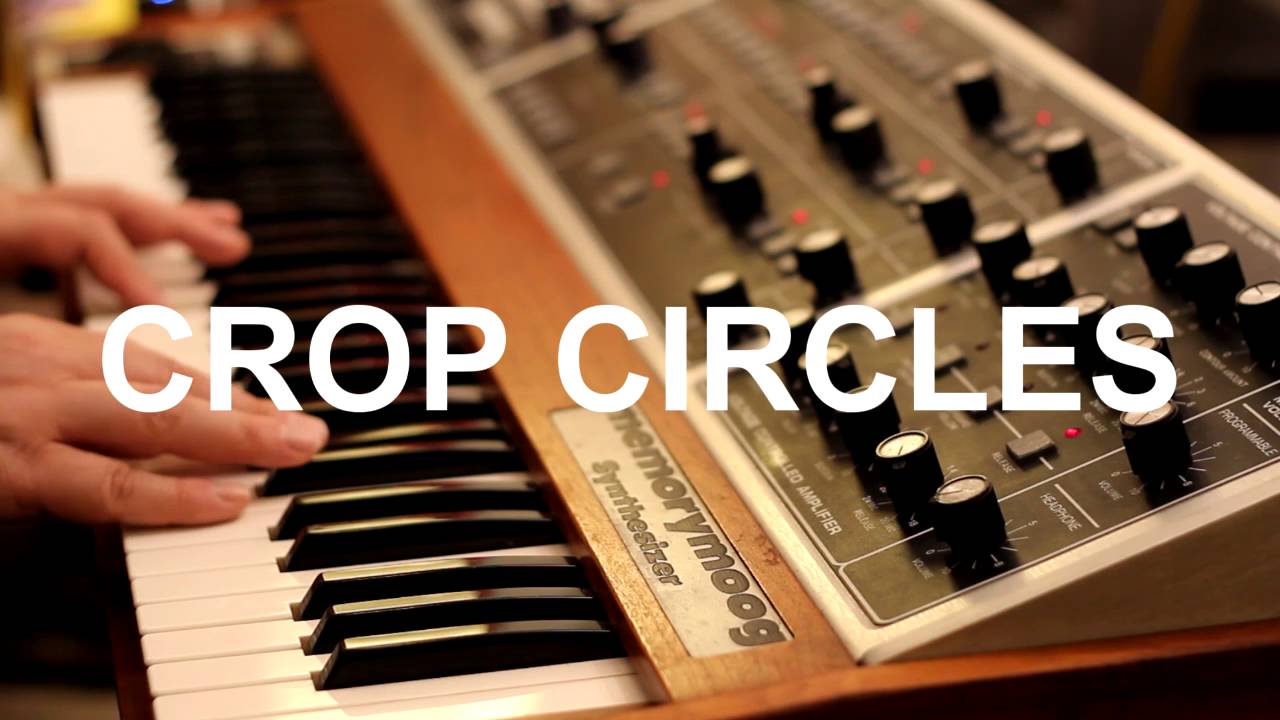 Moog Memorymoog - beauty