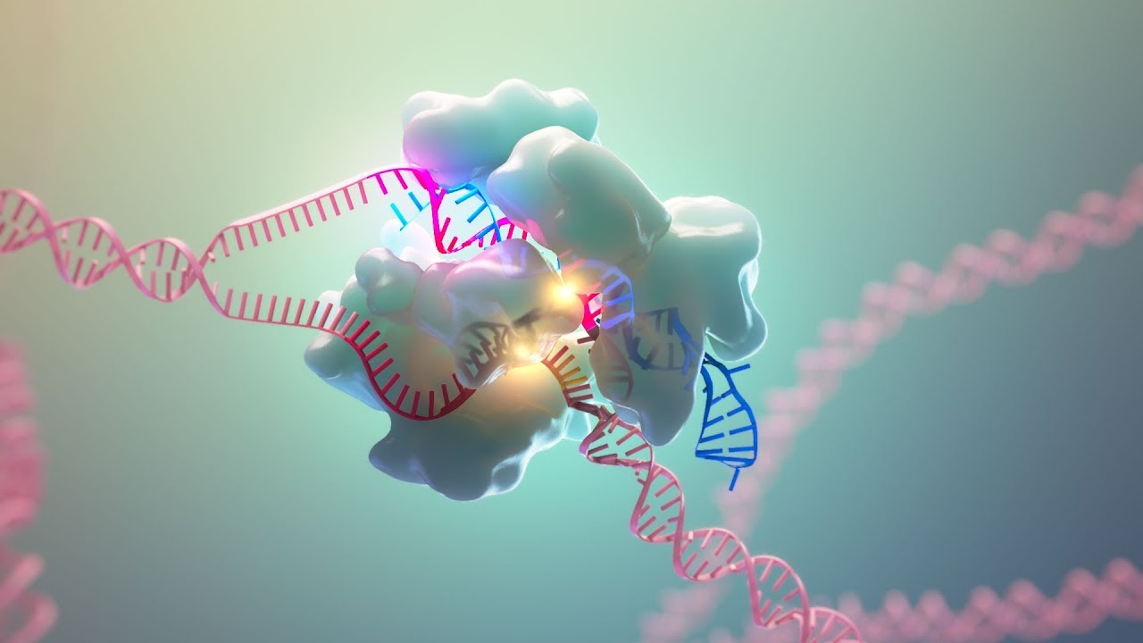 3D Medical and Scientific Animation Showreel 2018 | AXS Studio