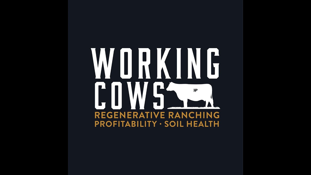 Using Wool as a Carbon Rich Soil Amendment (WCP 497)
