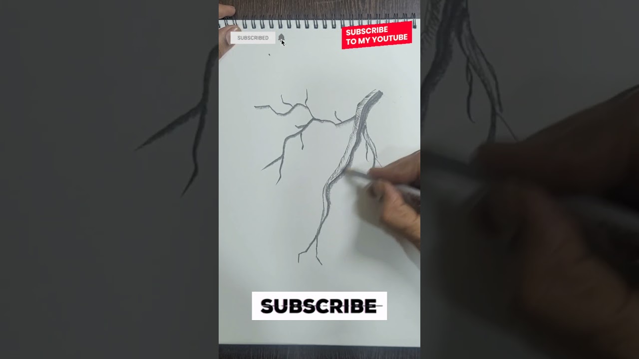 How to drawing pencil sketch tree 