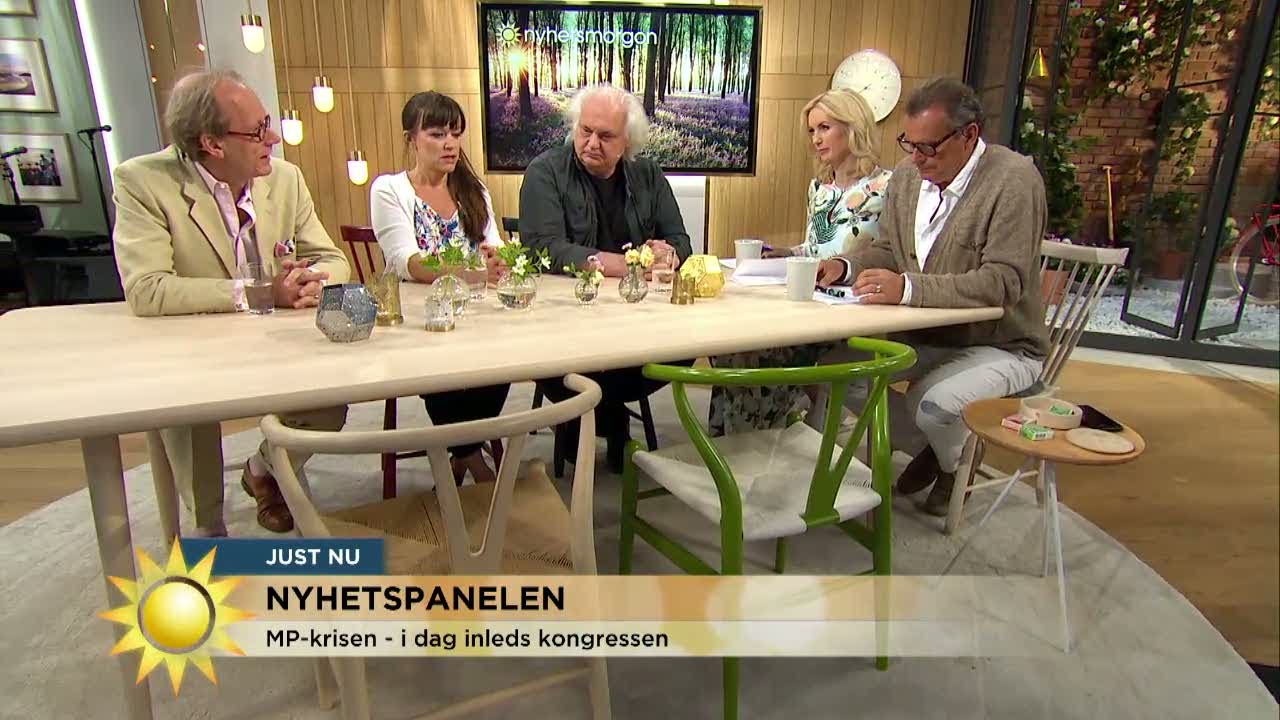 Nyhetspanelen: 