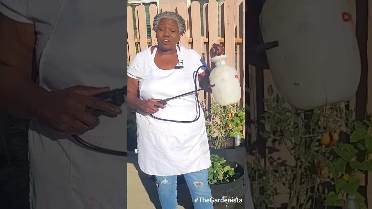 Organic Pest Control Strategies for Caterpillars