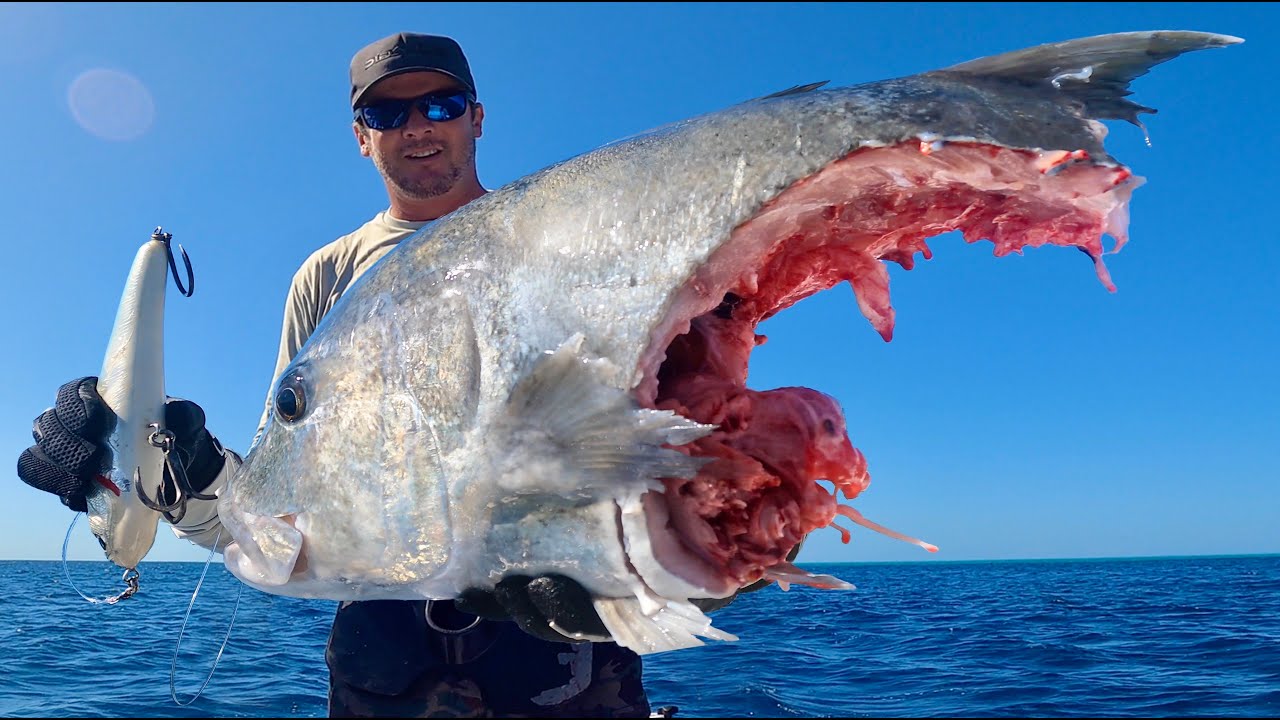 There's Always a Bigger Fish!
