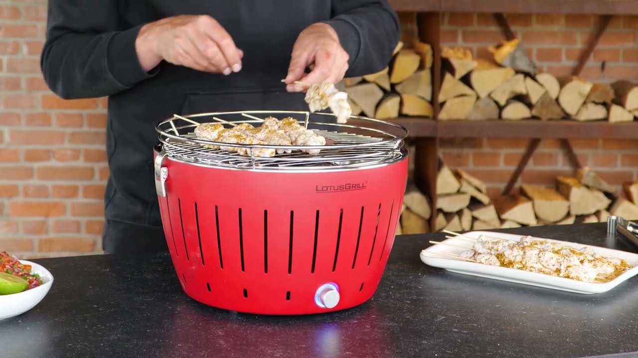 LotusGrill Hybrid