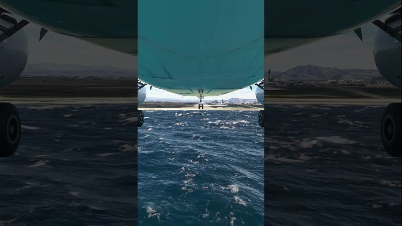 the pilot's actions endangered the plane's passengers EP311