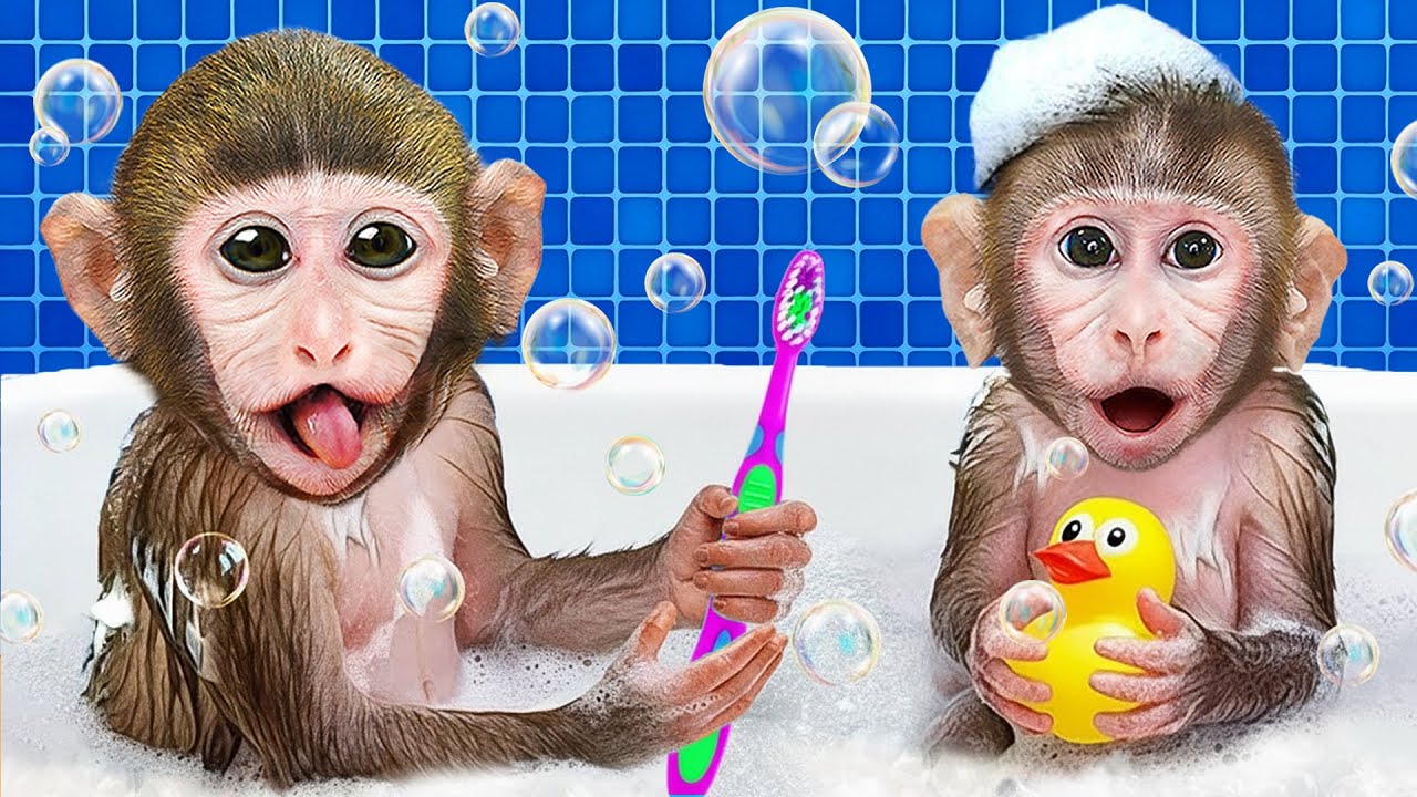 Monyet Dodo Menyelamatkan Bonbon dari Tong Sampah & Kejar-kejaran Mobil Lucu