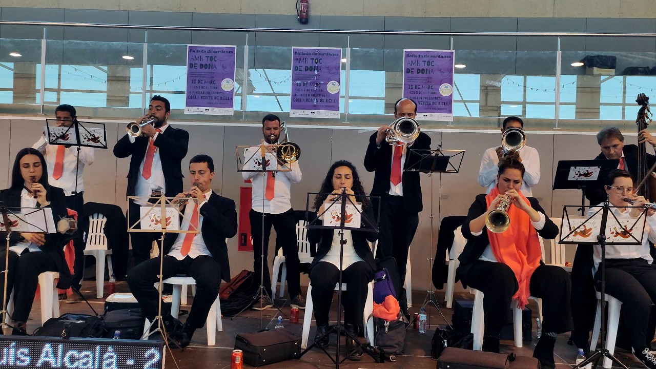 Ballada de Sardanes Amb Toc de Dona Alguaire Cobla Vents de Riella