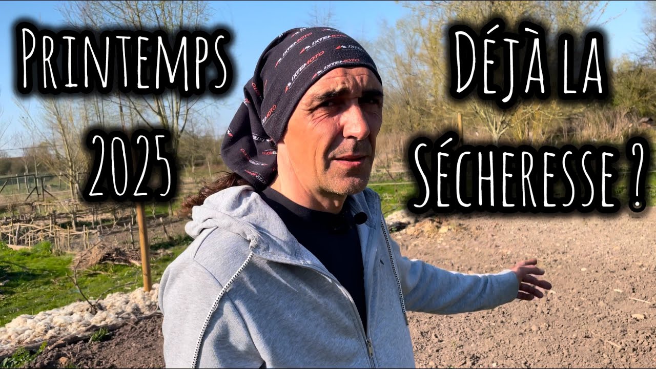 Printemps 2025: Déjà la sécheresse ! Potager, semis, bricolage, abeilles et ruches