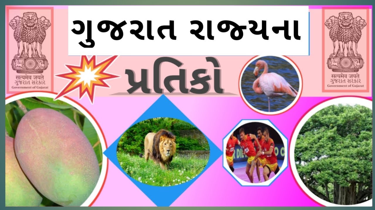 ગુજરાત રાજ્ય ના પ્રતિકો| Symbols of Gujarat|ASHOK stambh |Asiatic lion| Flamingo| Mango|vad|ગલગોટો