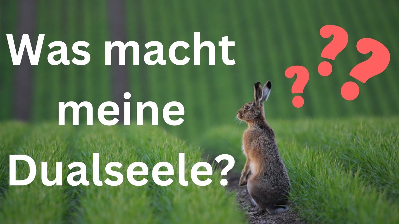 Dualseelen - was erlebt der Partner mit der männlichen Energie?