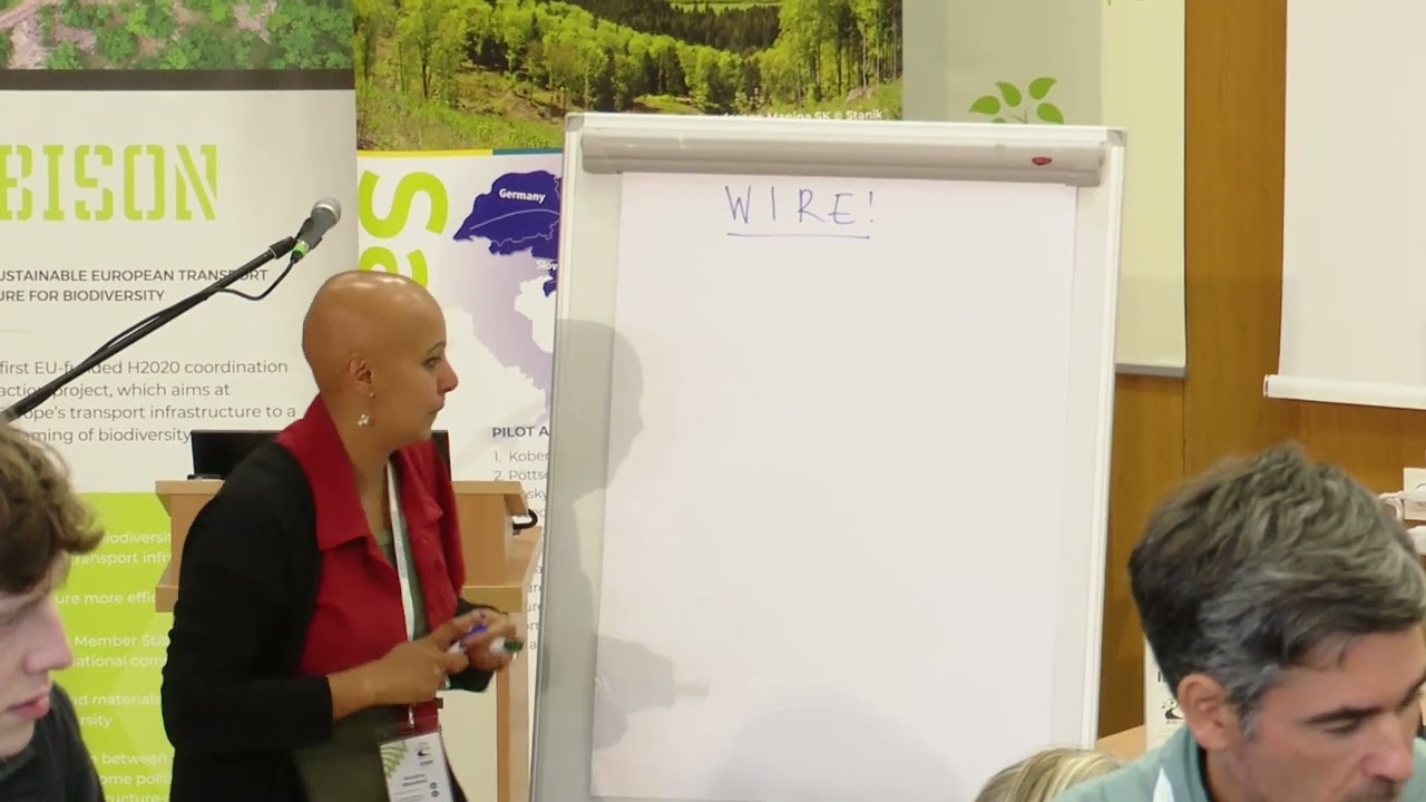 Panel Discussion: WIRE &ndash; Women in Road Ecology