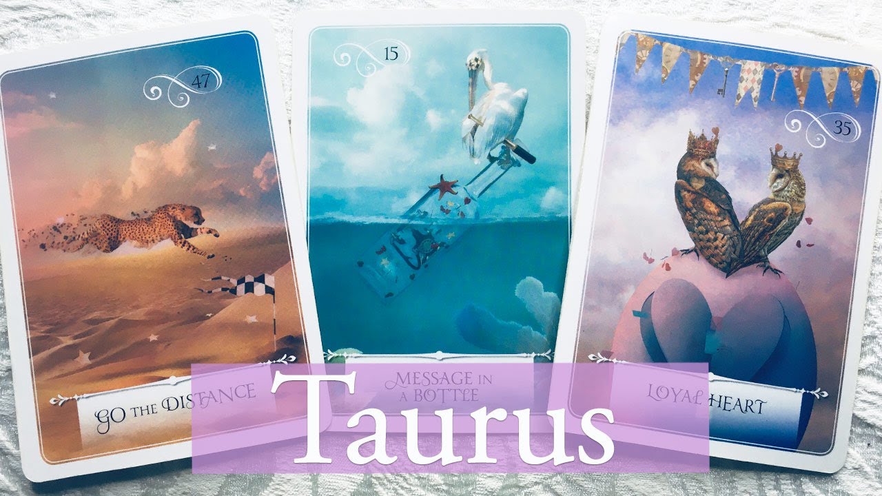 Taurus be patient your investment is about to pay off! Love/career/finance