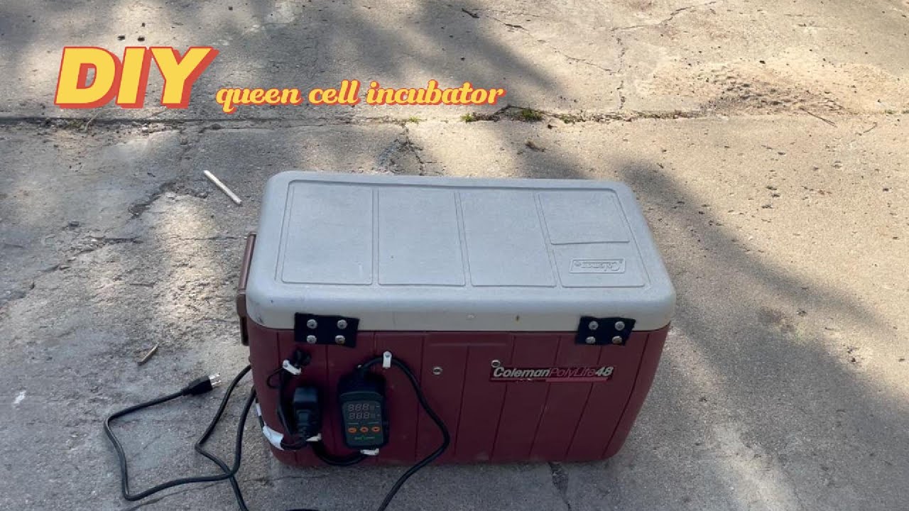 DIY Queen Cell Incubator